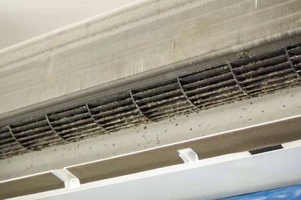 Best Best Air Duct Cleaning Company  in Columbus Junction, IA